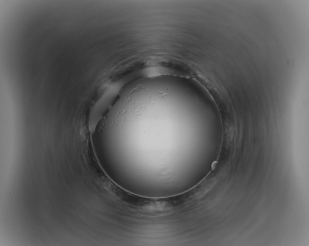 X0000113530609200910021331