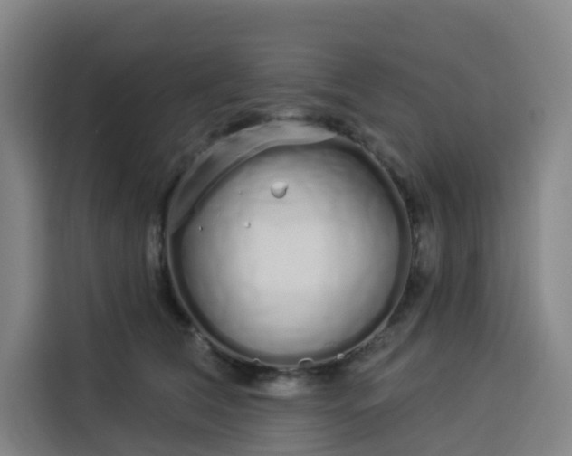 X0000113530612200910021331