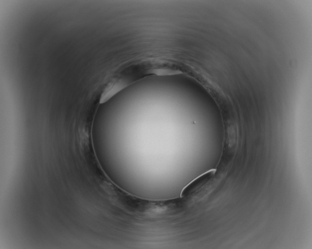 X0000113530613200910021331