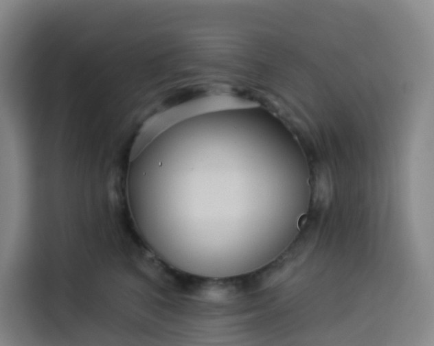 X0000113530616200910021331