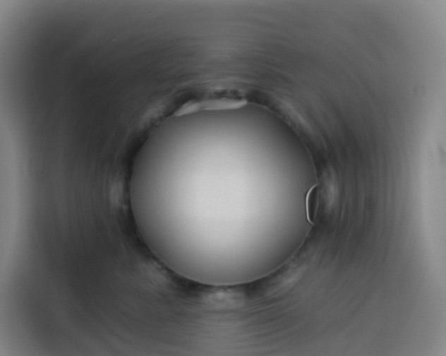 X0000113530619200910021331