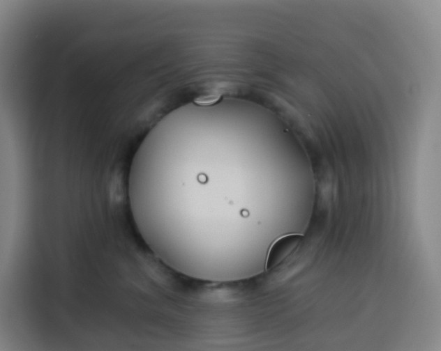 X0000113530620200910021331