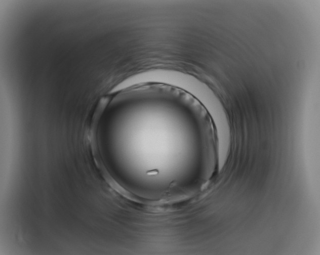 X0000113530621200910021331