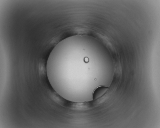 X0000113530622200910021331