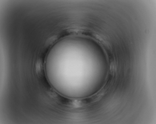 X0000113530623200910021331