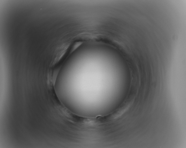 X0000113530624200910021331