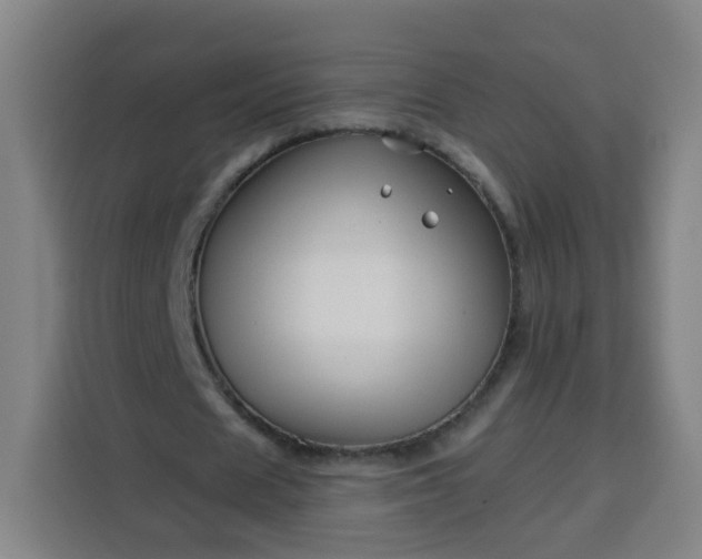 X0000113530625200910021330