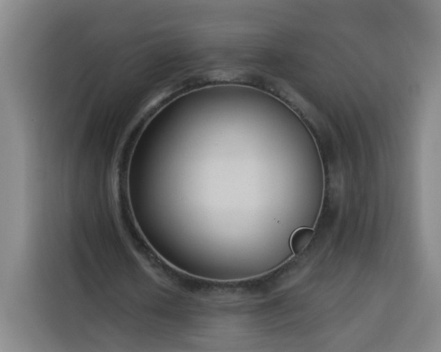 X0000113530626200910021330