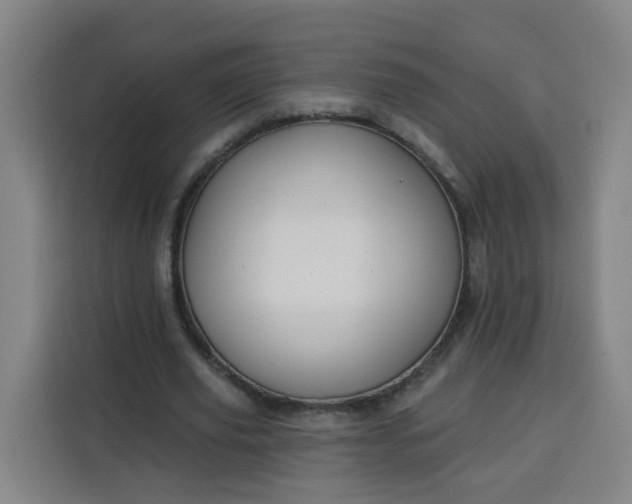 X0000113530629200910021330