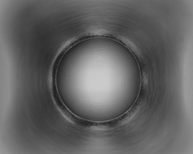 X0000113530630200910021330