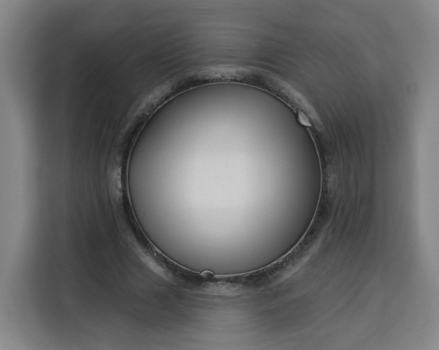 X0000113530633200910021330