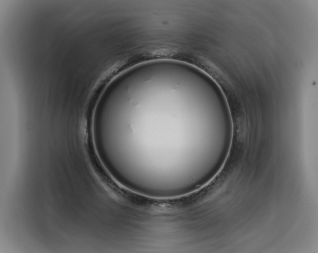 X0000113530634200910021330