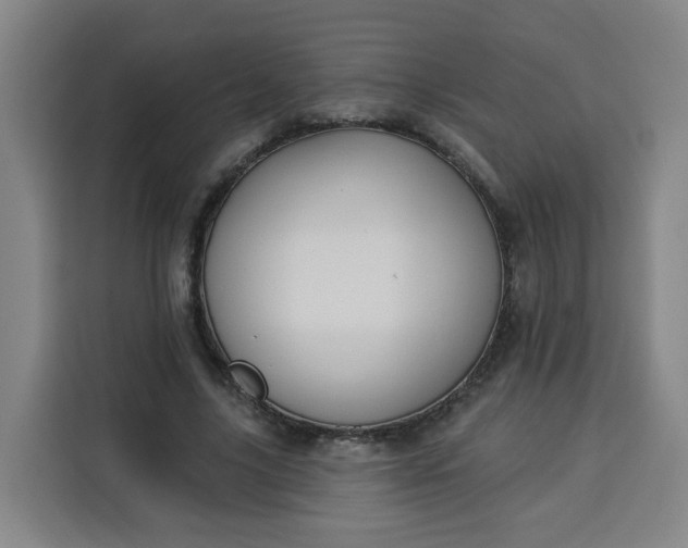 X0000113530635200910021330