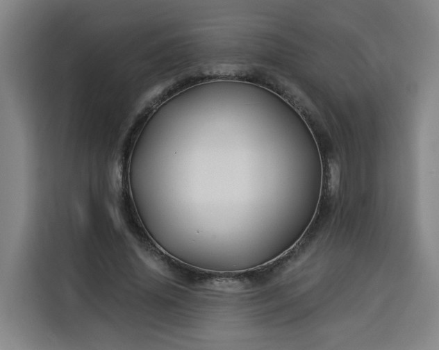 X0000113530636200910021330