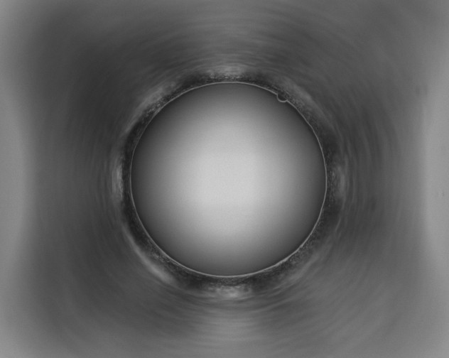 X0000113530638200910021330