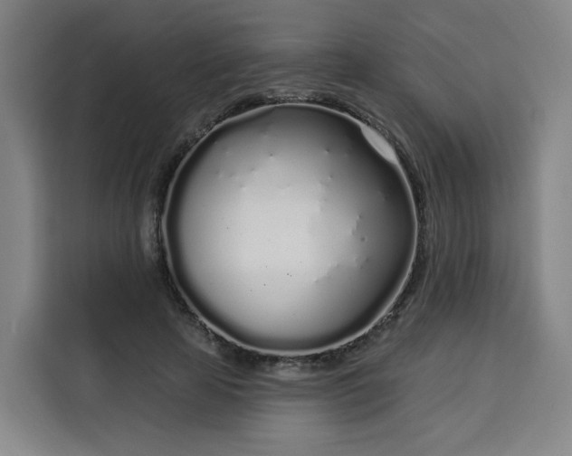 X0000113530641200910021330