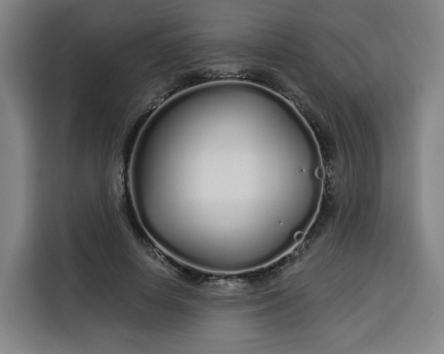 X0000113530642200910021330