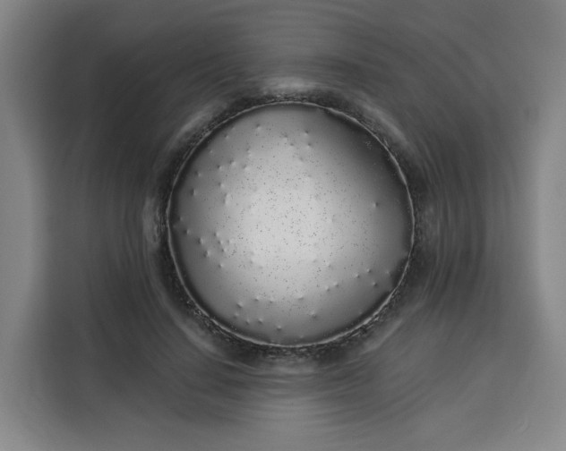 X0000113530644200910021330