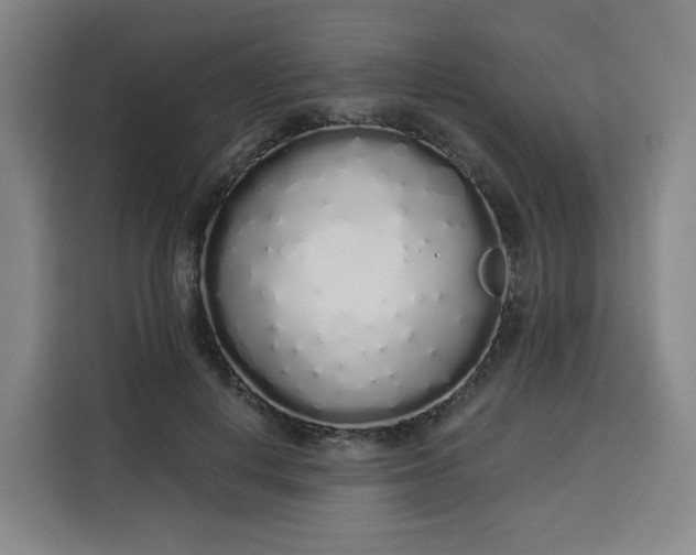 X0000113530648200910021330