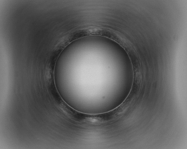 X0000113530654200910021330