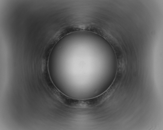 X0000113530656200910021330