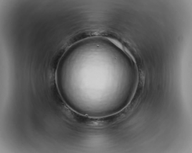 X0000113530657200910021330