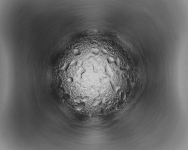 X0000113530659200910021330