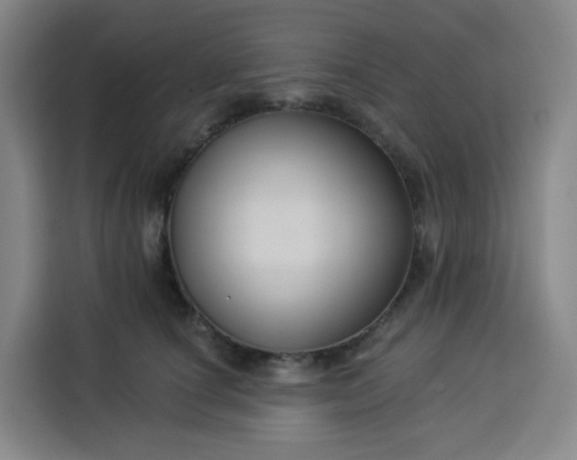 X0000113530660200910021330