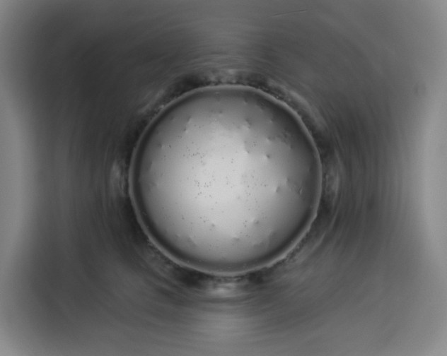 X0000113530661200910021330