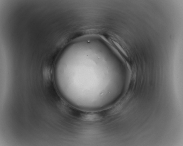 X0000113530669200910021330