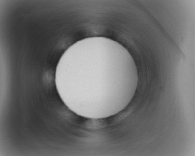 X0000113530672200910021331