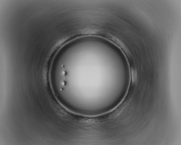 X0000113530675200910021330