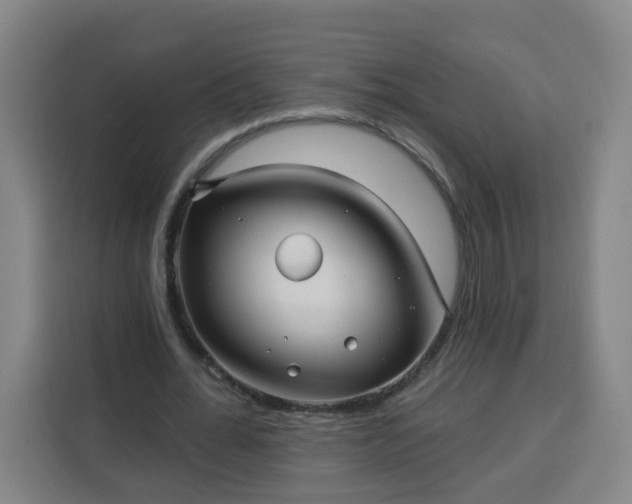 X0000113530676200910021330