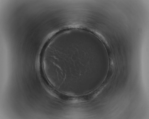 X0000113530678200910021330