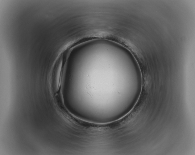 X0000113530679200910021330