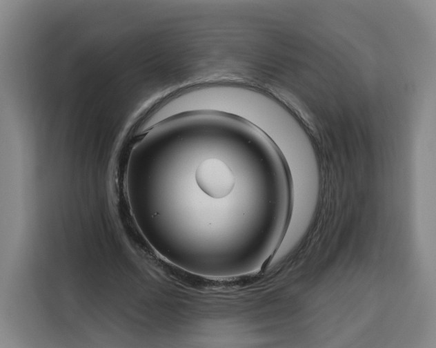 X0000113530680200910021330