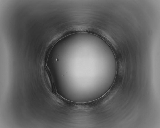 X0000113530681200910021330