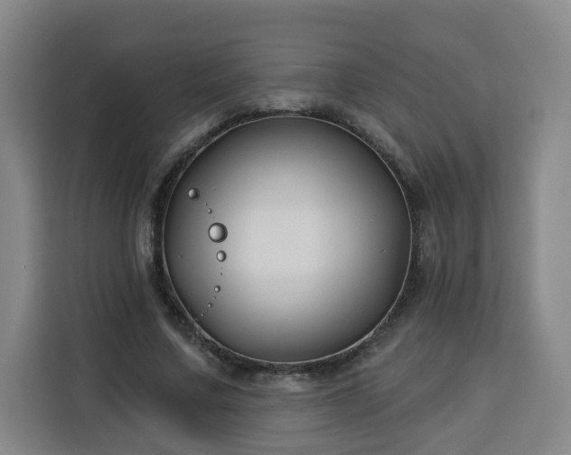 X0000113530683200910021330