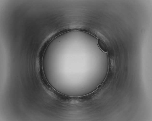 X0000113530684200910021330