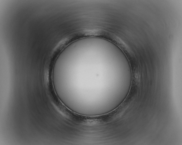 X0000113530686200910021330