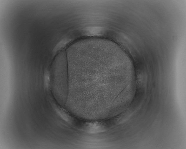 X0000113530688200910021330