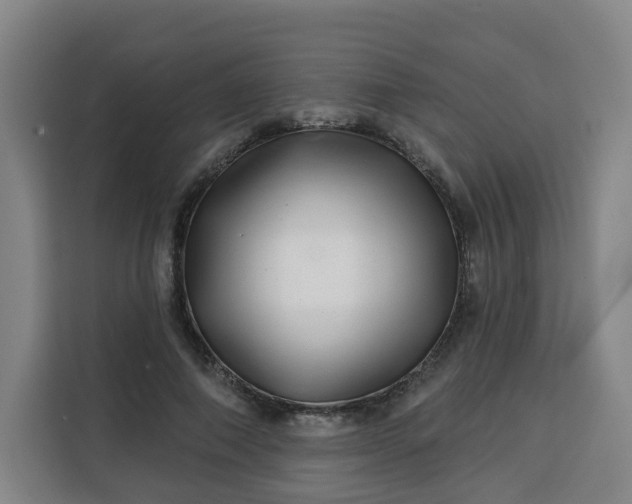 X0000113530690200910021330