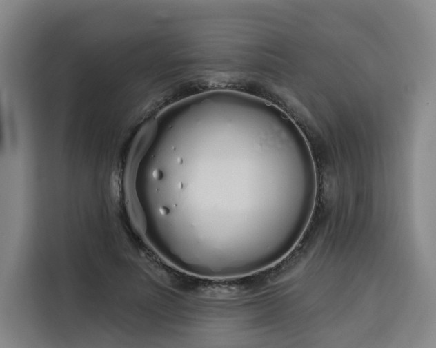 X0000113530691200910021330