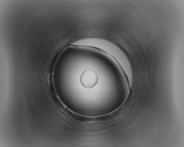 X0000113530692200910021330