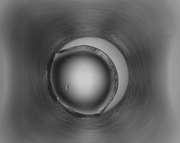 X0000113530693200910021330