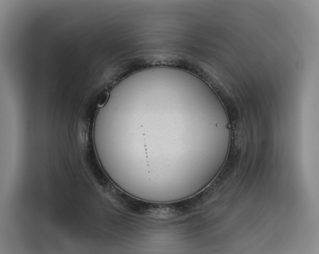 X0000113530695200910021330