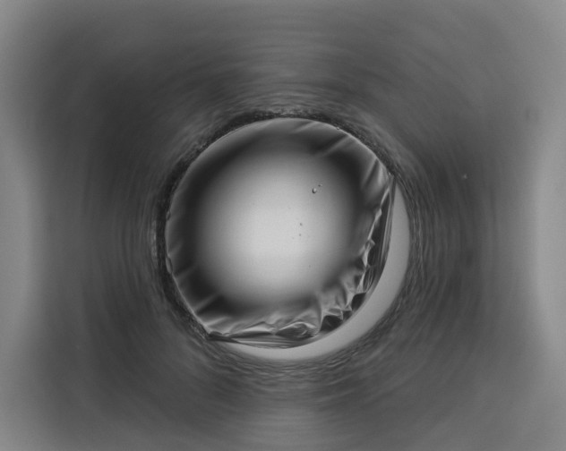 X0000113530696200910021330