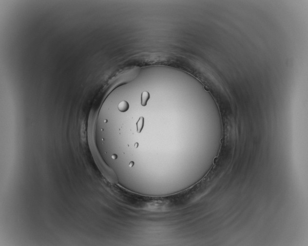 X0000113530700200910021330