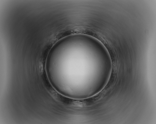 X0000113530703200910021330