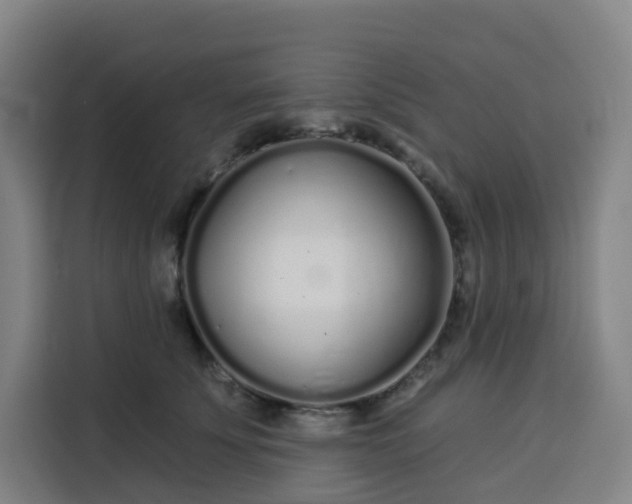 X0000113530707200910021329